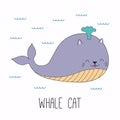 Cute cat whale