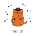 Cute pirate cat