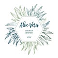 Hand drawn vector illustration. Label with aloe vera. Herbal plant. Clipart in sketch style. Perfect for cosmetics Royalty Free Stock Photo
