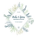 Hand drawn vector illustration. Label with herbs and spices sag