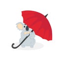 Hand drawn vector illustration of a little koala bear sitting under an red umbrella in cartoons style. Stock image isolated on whi