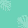 Hand drawn vector illustration of monstera leaves silhouette on light turquoise background. Houseplants room plants