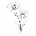 Monochrome Orchid Illustration With Delicate Lines On White Background