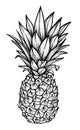 Hand drawn vector illustration - Pineapple. Exotic tropical fruit. Sketch. Outline. Perfect for tattooing, invitations, greeting