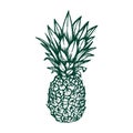 Hand drawn vector illustration - Pineapple with striped background