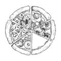 Hand drawn vector illustration - pizza. Types of pizza: Pepperoni, Margherita, Hawaiian, Mushroom. Sketch style