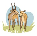 Hand drawn vector illustration of saiga antelope.