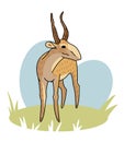 Hand drawn vector illustration of saiga antelope.