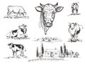 Hand drawn vector illustration set with farm and cow. sketh