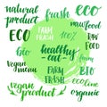 Hand drawn vector illustration - Set of organic food labels. Org Royalty Free Stock Photo