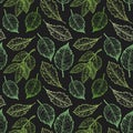 Hand drawn vector illustration. Spring seamless pattern with green leaves, herbs and branches. Floral Design elements. Perfect