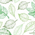 Hand drawn vector illustration. Spring seamless pattern with green leaves, herbs and branches. Floral Design elements. Perfect