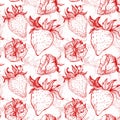 Hand drawn vector illustration - Strawberry background. Seamless