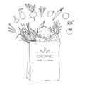 Hand drawn vector illustration - Supermarket shopping bag