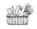 Hand drawn vector illustration - Supermarket shopping basket