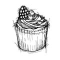 Hand drawn vector illustration - Sweet cupcake with blackberry a