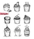 Hand-drawn vector illustration - Sweet cupcakes. Line art. Isolated on white background