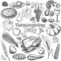 Hand drawn vector illustration - Thanksgiving day Royalty Free Stock Photo