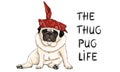 Hand drawn vector illustration of thug pug puppy dog, sitting down with red western scarf bandana