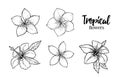 Hand drawn vector illustration - tropical flowers. Summer time.