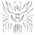 Hand drawn vector illustration. Vintage decorative collection. Royalty Free Stock Photo