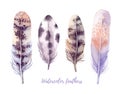 Hand drawn vector illustration - Watercolor feathers collection.