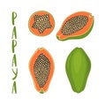 Hand drawn vector illustration of whole and sliced papaya with lettering