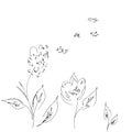 Hand Drawn Vector Illustrations Of Abstract Set of Flowers Isolated on White. Hand Drawn Sketch of a Flowers Royalty Free Stock Photo