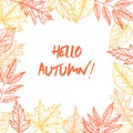 Hand drawn vector illustrations. Frame of fall leaves. Forest de