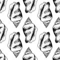 Vector seamless pattern of black seashell outline on white background. A hand drawn spiral shell in the style of a sketch vintage Royalty Free Stock Photo