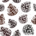 Hand drawn vector illustrations. Seamless pattern with pine cone Royalty Free Stock Photo