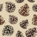 Hand drawn vector illustrations. Seamless pattern with pine cones Royalty Free Stock Photo