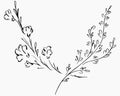 Hand Drawn Vector Illustrations Of Two Branches With Flowers and Leaves Isolated on White. Hand Drawn Sketch of a Flowers Royalty Free Stock Photo