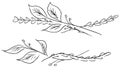 Hand Drawn Vector Illustrations Of Two Branches With Flowers and Leaves Isolated on White. Hand Drawn Sketch of a Flowers Royalty Free Stock Photo