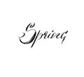 Hand drawn vector ink brush graphic handwritten Spring calligraphy lettering text isolated on white background.Spring Royalty Free Stock Photo