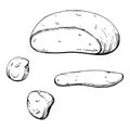 Hand drawn vector ink illustration. Mozzarella burrata cheese, full head slice, dairy product. Single object isolated on