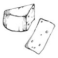 Hand drawn vector ink illustration. Parmesan edam emmental fontina gruyere cheese dairy product. Single object isolated