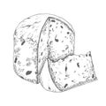 Hand drawn vector italian winter fresh panettone