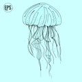 Hand drawn vector jellyfish. Sea marine animal collection. Modern line art. Dot work ocean tattoo collection. Royalty Free Stock Photo