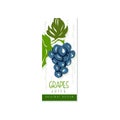 Hand drawn vector label with juicy grape and green leaves. Fresh and natural fruit. Healthy and organic product