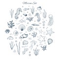 Hand drawn vector marine set with seahorses, shells, stars, seaweed, fish, coral and bubbles. Sea creatures outline on the white