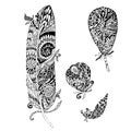 Hand drawn vector monochrome feathers sketch, doodle style design elements stock vector illustration Royalty Free Stock Photo
