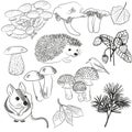 Hand drawn vector natural set with forest animals, leaves, mushrooms, birds, berries. Forest design elements for drawing Royalty Free Stock Photo