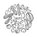 Hand drawn vector nuts border. Doodle Linear sketch. Pistachios, Walnut, Almond, Hazelnut, Peanut. Organic, fresh