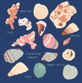 Hand drawn vector ocean set trendy illustration with corals and different seashells in minimalistic pastel colors.