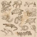 An hand drawn vector pack - ANIMALS