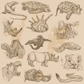 An hand drawn vector pack - ANIMALS
