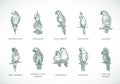 Hand Drawn Vector Parrots Species Illustrations Set. Collection of Bird Breeds Sketch Silhouettes Isolated Royalty Free Stock Photo