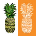 Hand drawn vector pineapple.