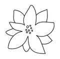 Hand drawn Vector Poinsettia flowers lines icon for Christmas or New Year greeting card design. Plant with star flower